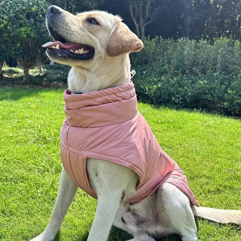 Optimal fodbeskyttelse til kæledyr for ultimativ komfort og sikkerhed