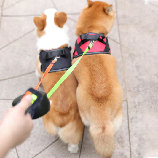 Knob-fri hundetrin med dobbelt kontrolsystem for ekstra sikkerhed
