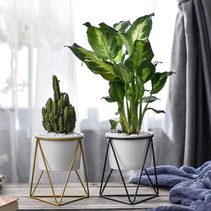 Elegant keramisk potte med jernstander - Moderne plantekasse til luftplanter og sukkulenter