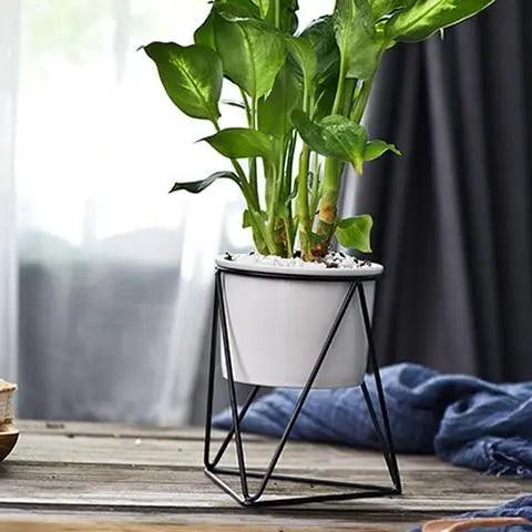Elegant keramisk potte med jernstander - Moderne plantekasse til luftplanter og sukkulenter