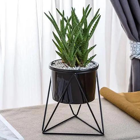 Elegant keramisk potte med jernstander - Moderne plantekasse til luftplanter og sukkulenter