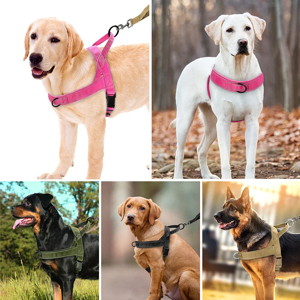 Komfortabel nylon træningssele til små og mellemstore hunde