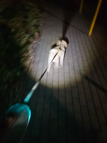 Ultimativ hundesikkerhed: LED-belysning og 5 m rækkevidde til nattevandring