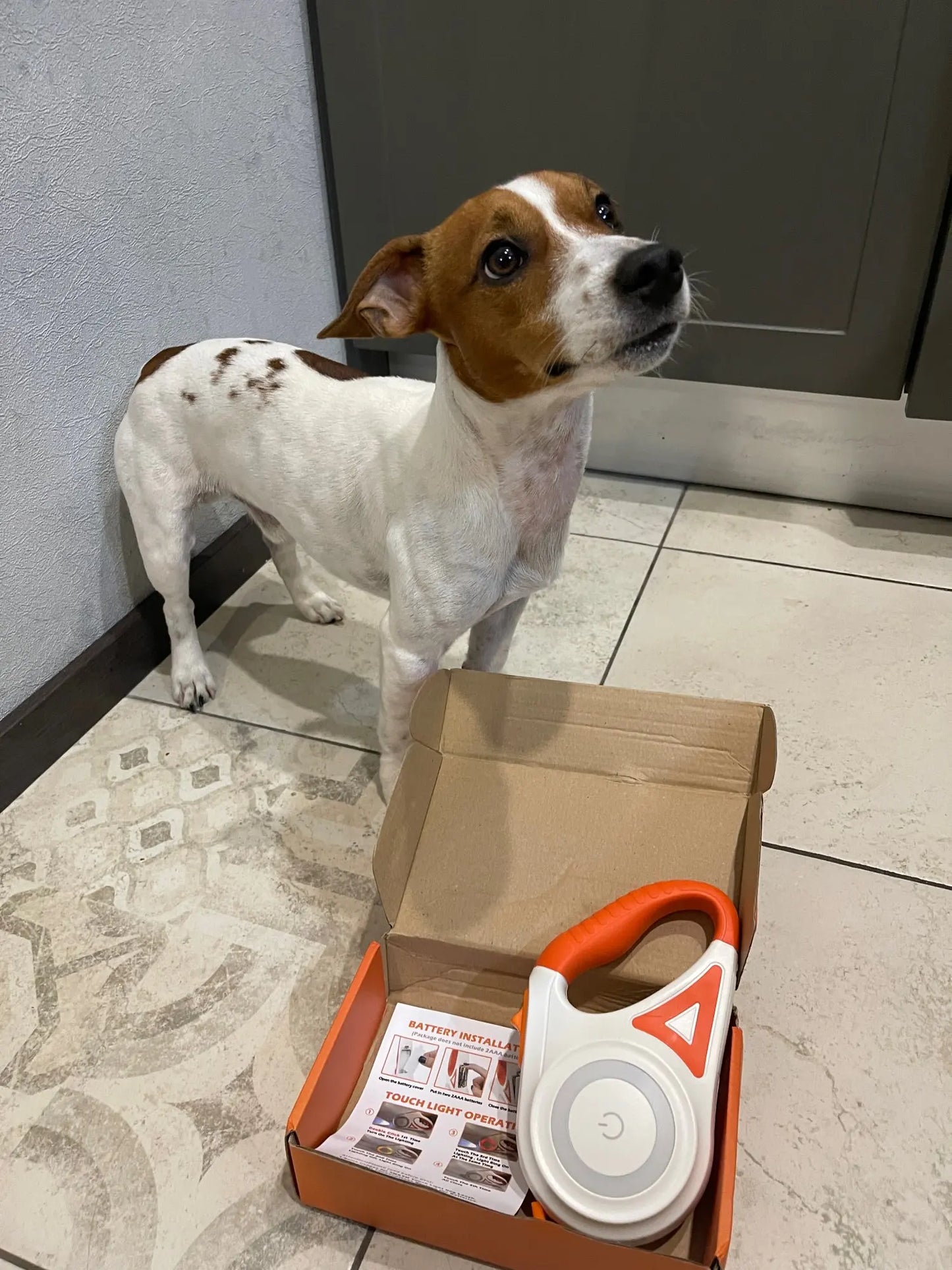 Ultimativ hundesikkerhed: LED-belysning og 5 m rækkevidde til nattevandring