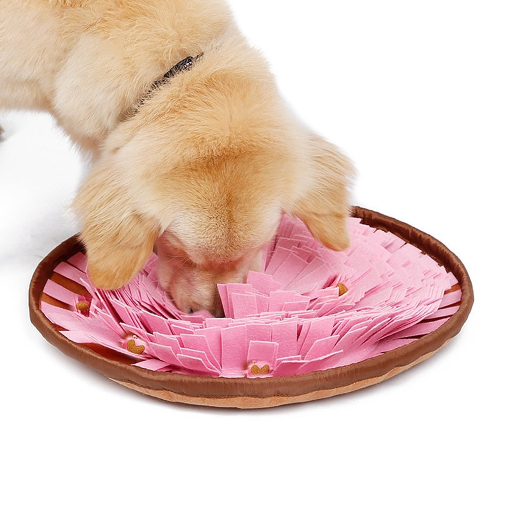 Kold & Sund Hundemadsmåtte til Komfort og Underholdning