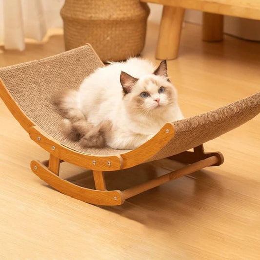 Kløet Kat