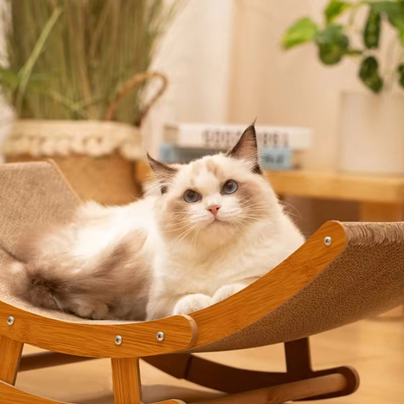 Kløet Kat