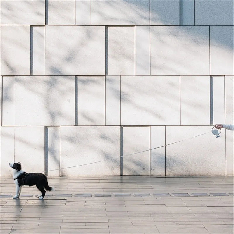 Udvideligt hundesnor til ultimativ kontrol og bekvemmelighed