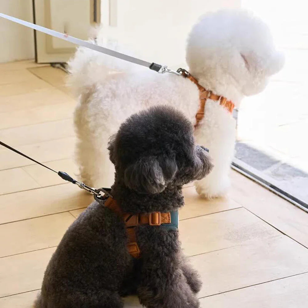 Sød og justerbar sele og rem for komfort og sikkerhed