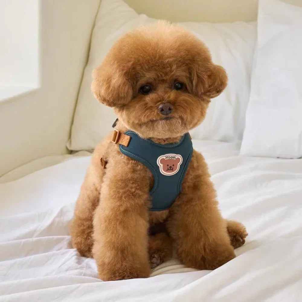 Sød og justerbar sele og rem for komfort og sikkerhed