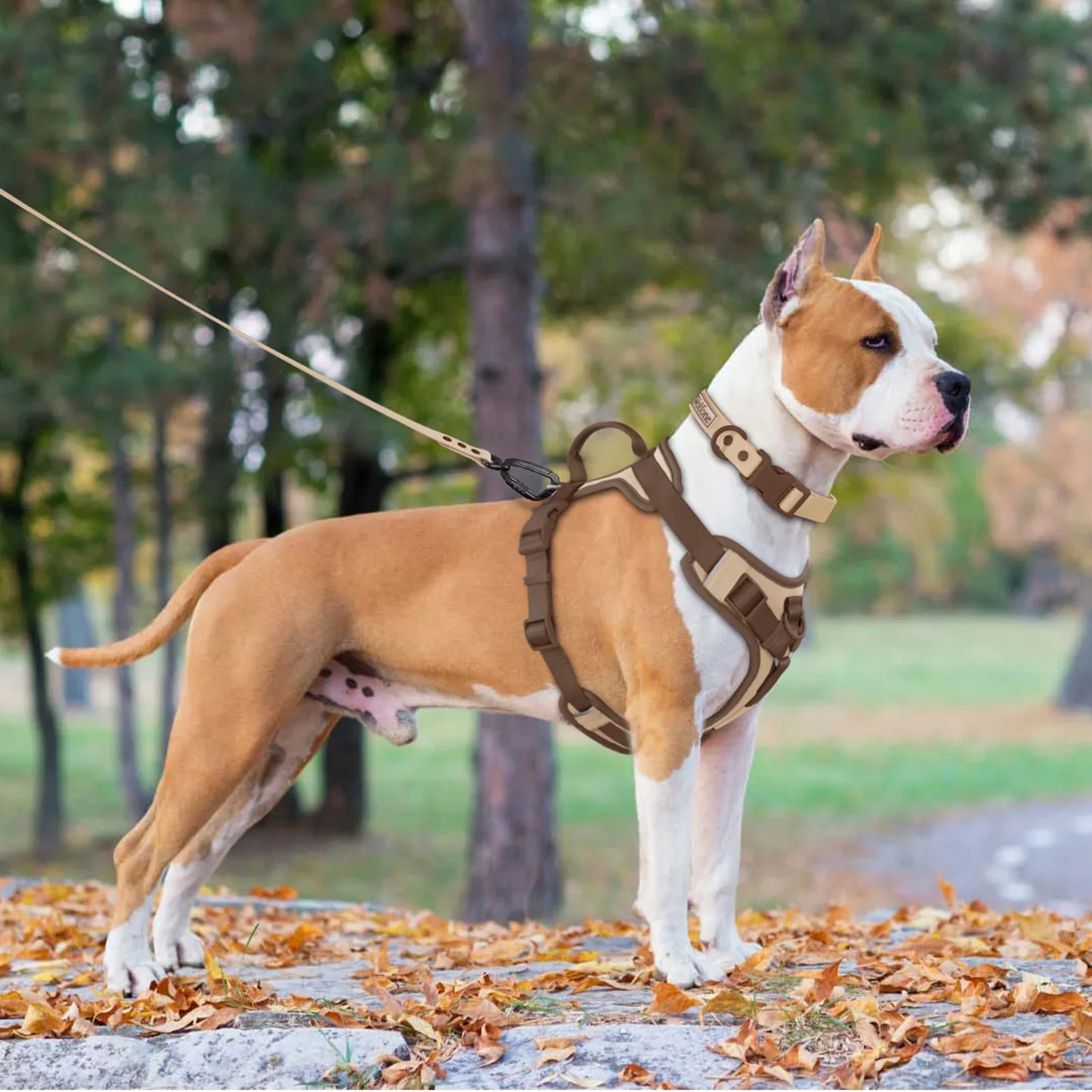Luxe justerbar hundesele til små og store racer