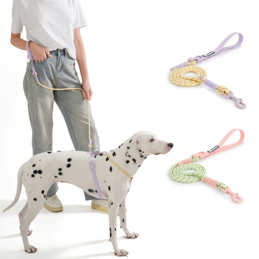 WebTrek Luxe håndvævet nylon hundesnor for komfort og holdbarhed