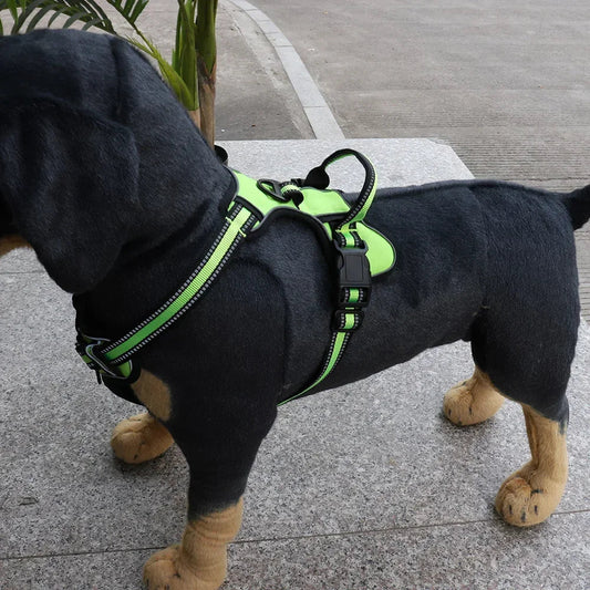 Justerbar nylon hundesele for komfort og sikkerhed