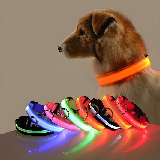 Luxe LED hundehalsbånd til ultimativ nat-sikkerhed