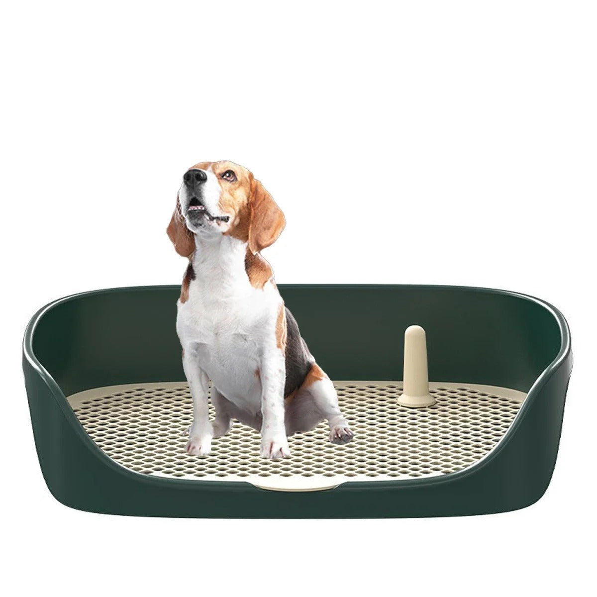 Potte-træn din hund